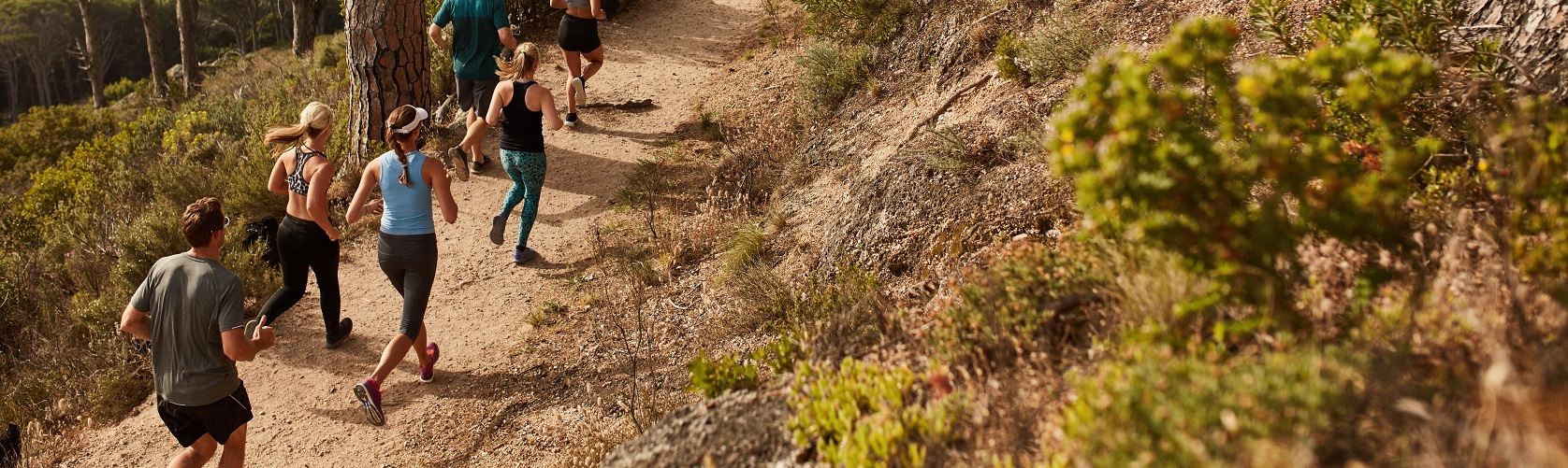 Group of trail runners